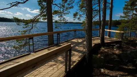 Tiveden vandring – stor guide till nationalparken, Vitsand, camping och bästa lederna