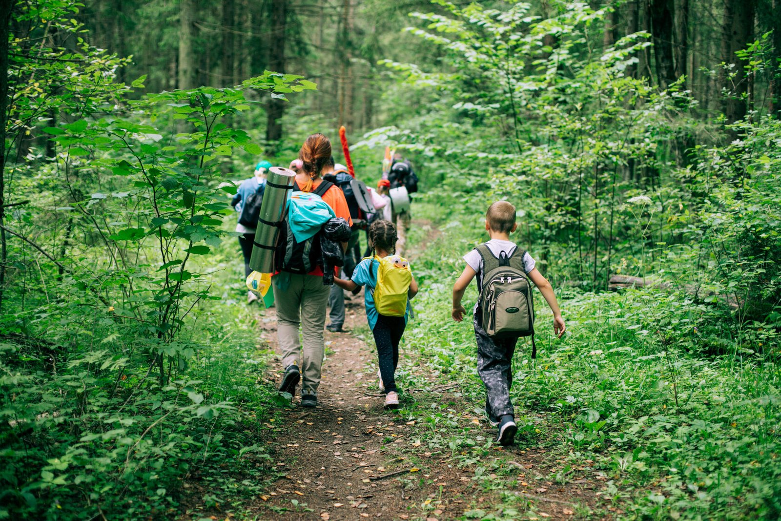 Naturreservat och vandringsleder i Stockholm – guide till korta leder, barnvänliga turer och natur nära stan